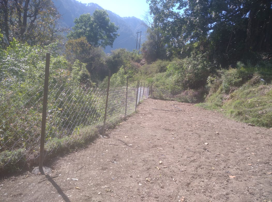 Enhancing Agricultural Sustainability through Wildlife Mitigation